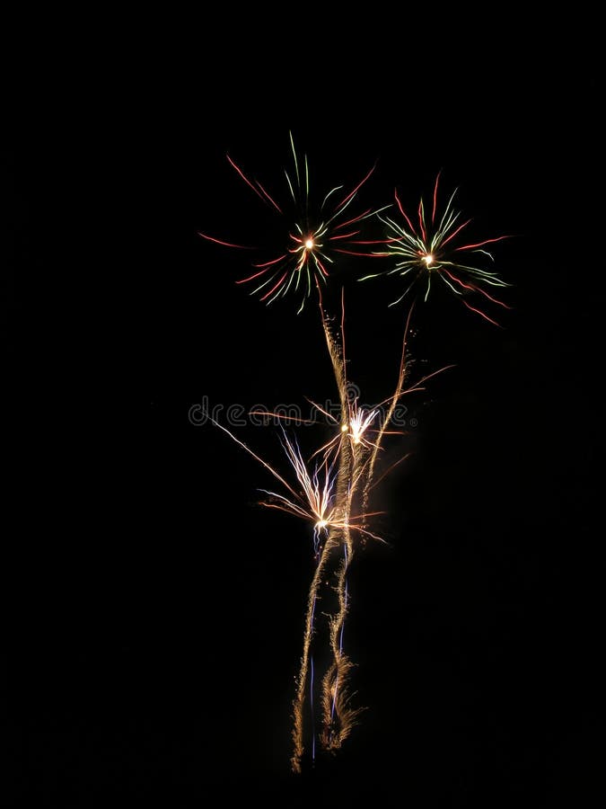 Fireworks Flowers Picture. Image 147833