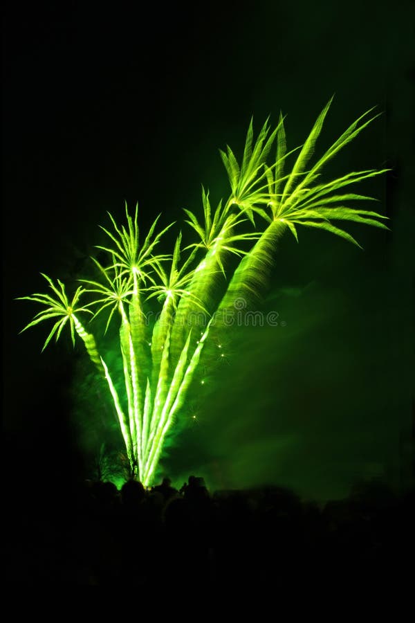 Fireworks like palms