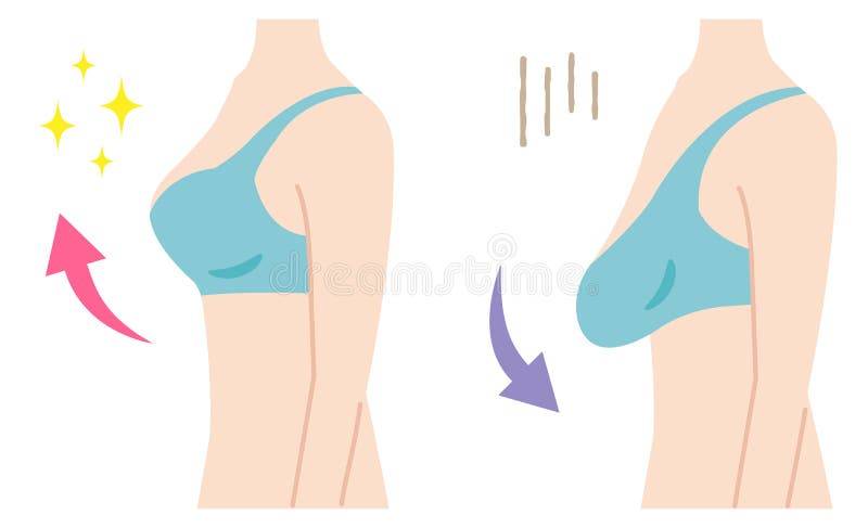 Sagging Boobs Stock Illustrations – 9 Sagging Boobs Stock