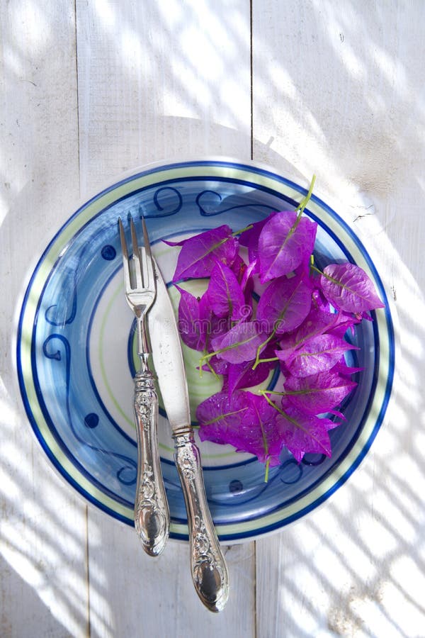 First Course Bougainvillea Stock Photos Free & RoyaltyFree Stock