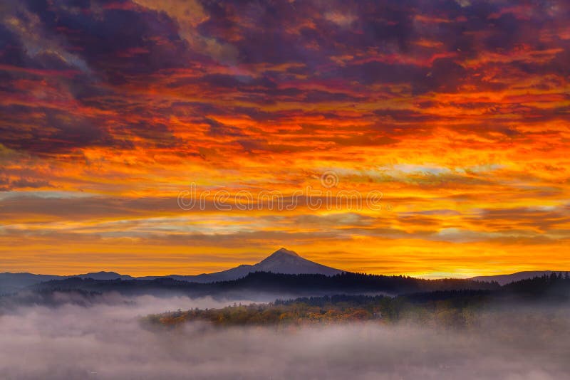 First light on snow covered Mt Hood during Sunrise stock images First light on snow covered Mt Hood during Sunrise stock images
