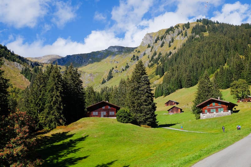 First Mountains , Switzerland Stock Photo Image of forest, europe