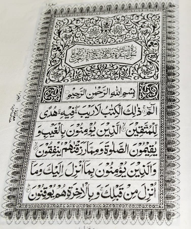 My Image 11