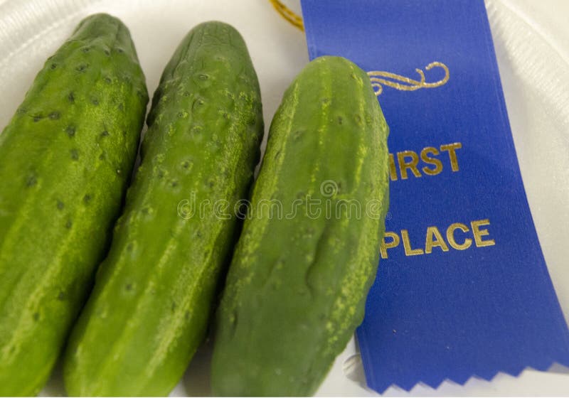 Place the Cucumbers in a Glass Jar, Pour the Marinade. the Jar is