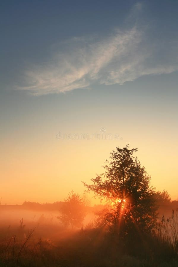 The first rays of the rising sun