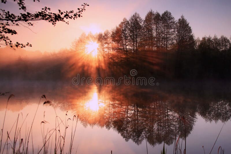 The first rays of the sun