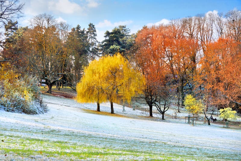 The first snow in the autumn park.