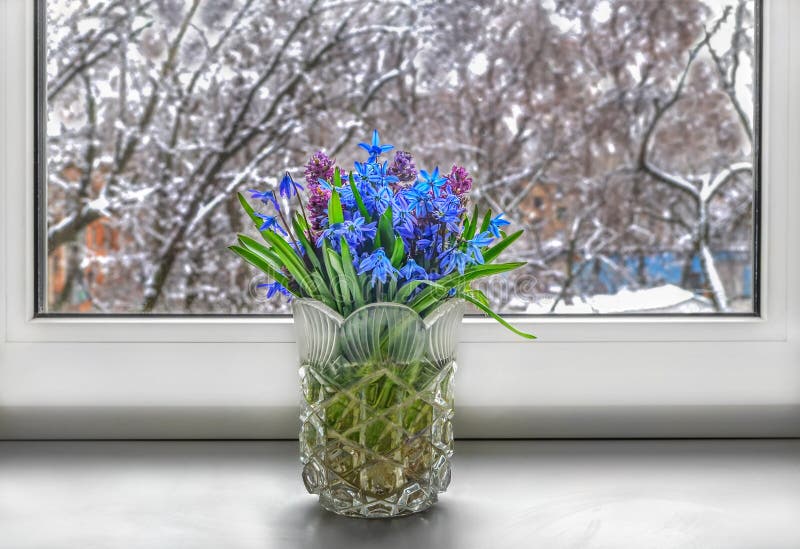 The First Spring Flowers Snowdrops are in a Vase on a Windowsill