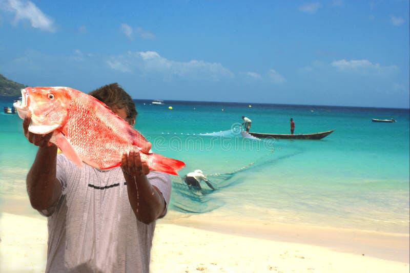 Fischer, frische Fische, Netz. stockfotografie Fischer, frische Fische, Netz. stockfotografie