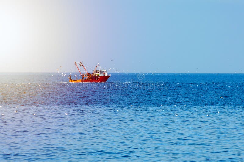 Fischerboot der roten Farbe in der hohen See, umgeben durch Vögel und durch die Sonne beleuchtet stockfotografie Fischerboot der roten Farbe in der hohen See, umgeben durch Vögel und durch die Sonne beleuchtet stockfotografie