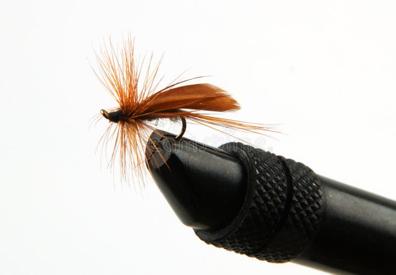 Fischerei der Fliege lizenzfreies stockbild Fischerei der Fliege lizenzfreies stockbild