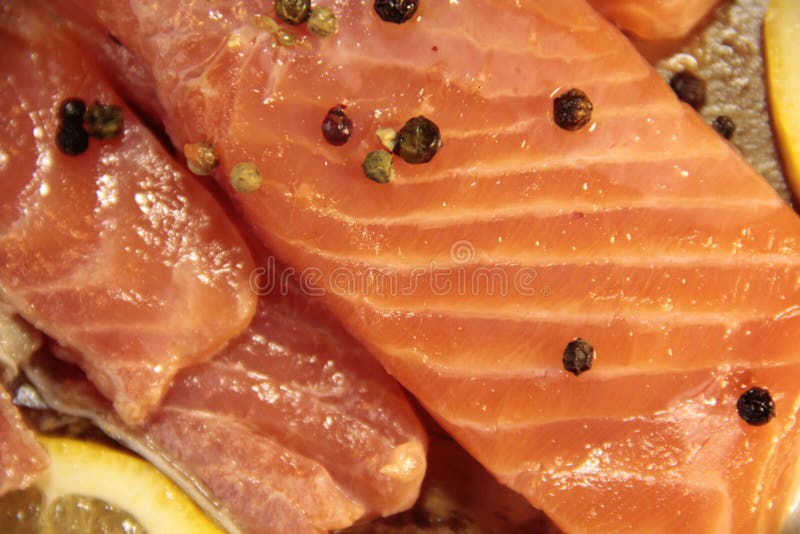Fischlachsnahaufnahme stockfotografie Fischlachsnahaufnahme stockfotografie