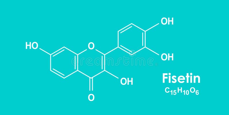 Fisetin chemical formula, molecular structure royalty free illustration