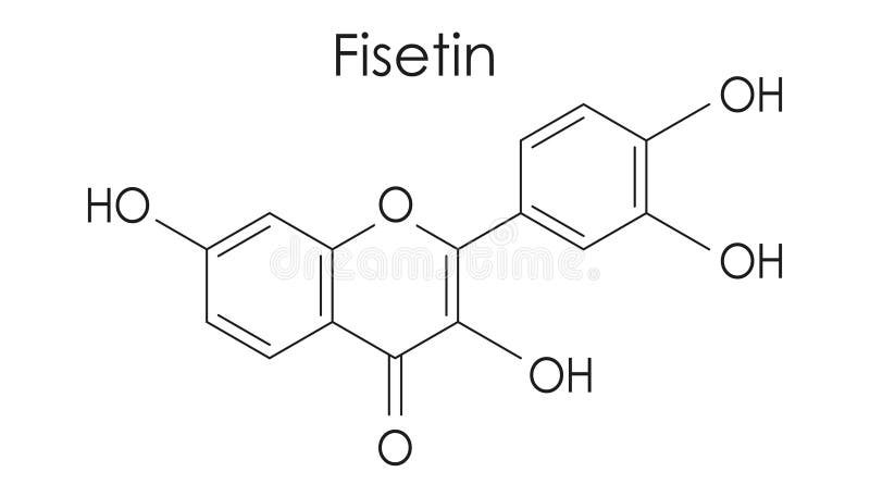 Fisetin chemical formula, molecular structure on white background stock illustration