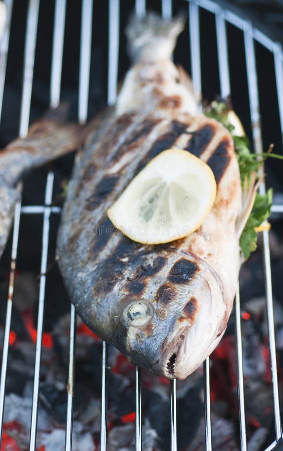 Cooking Fish Over Open Fire Stock Photo Image of meat, fishing 25201140