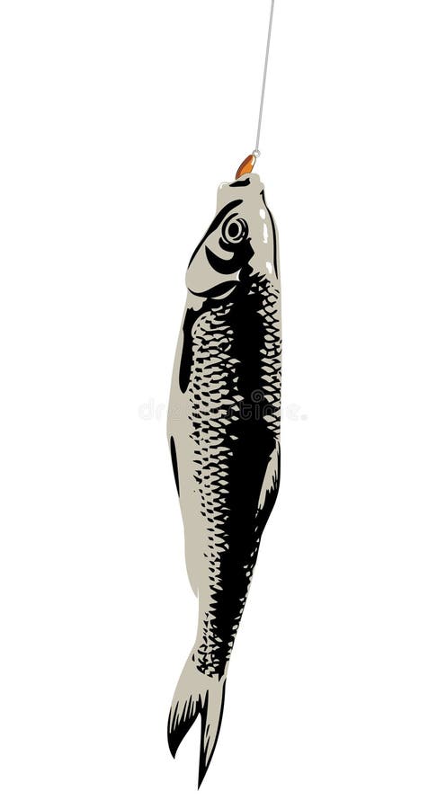 Fish Bite Stock Illustrations – 5,754 Fish Bite Stock