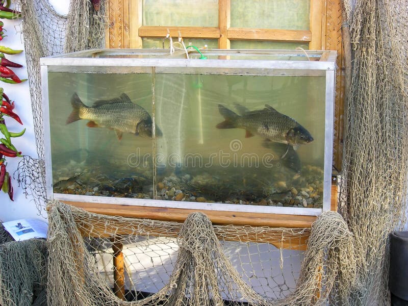 Fish Aquarium and Fishing Nets Used As Peasant`s House Decorations