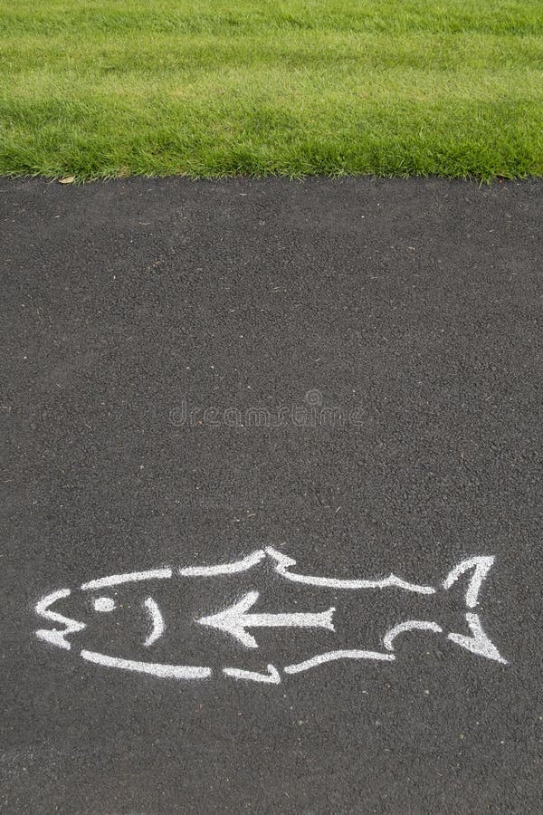 Directional sign in the form of a fish is painted on the footpath at Bonneville Dam Fish Hatchery, Oregon. Directional sign in the form of a fish is painted on the footpath at Bonneville Dam Fish Hatchery, Oregon