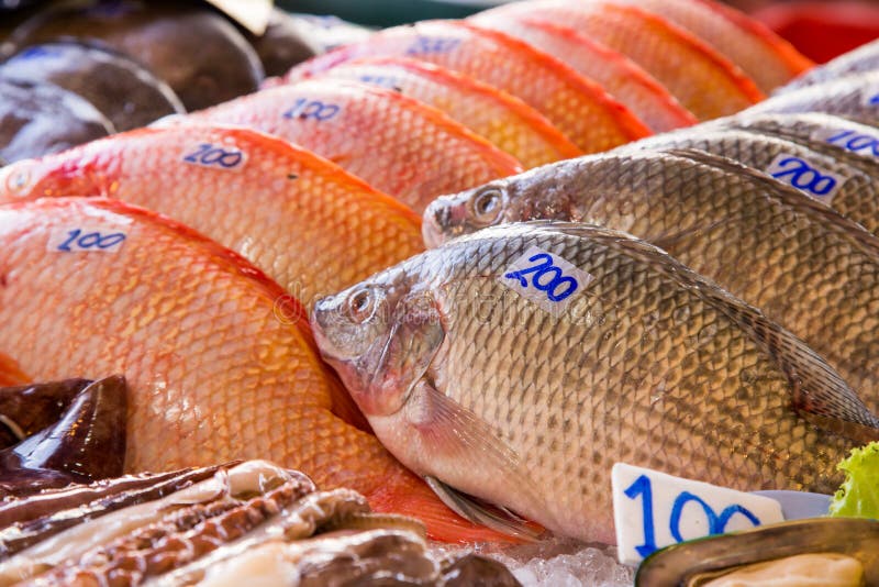 Fish in the Asian market stock image. Image of water 87878019