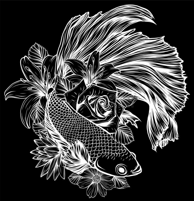 Betta Splendens, Siamese Fighting Fish Stock Vector - Illustration of ...