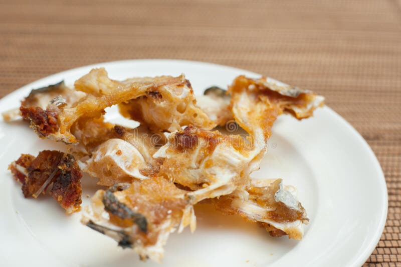 Fish bones on a plate stock image. Image of fish, ocean 97646245