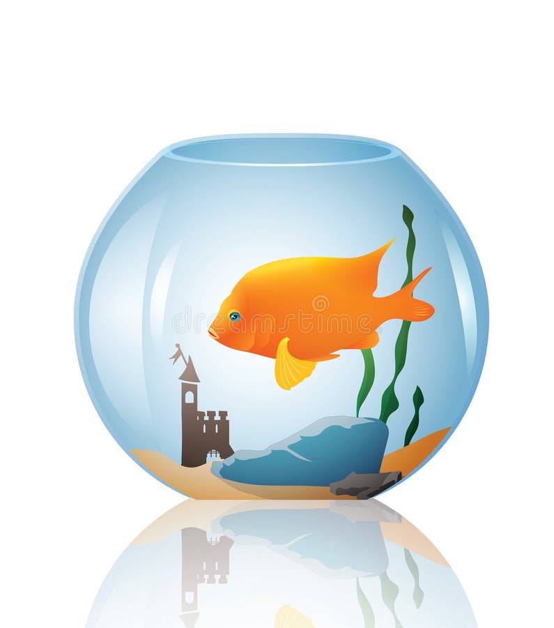 Download Vector Fish in a bowl stock vector. Illustration of fish ...