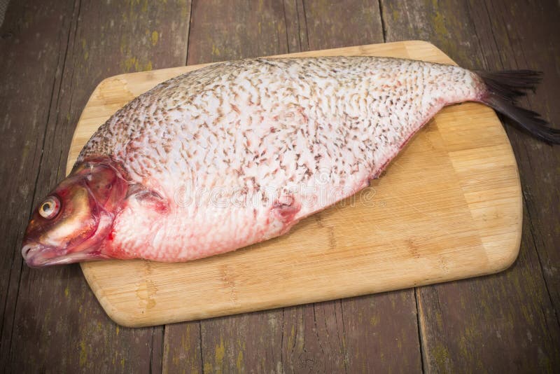 Fish bream stock photo. Image of scales, bream, river 58987222