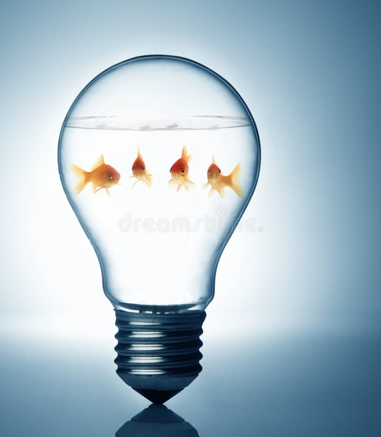 Fish in the bulb