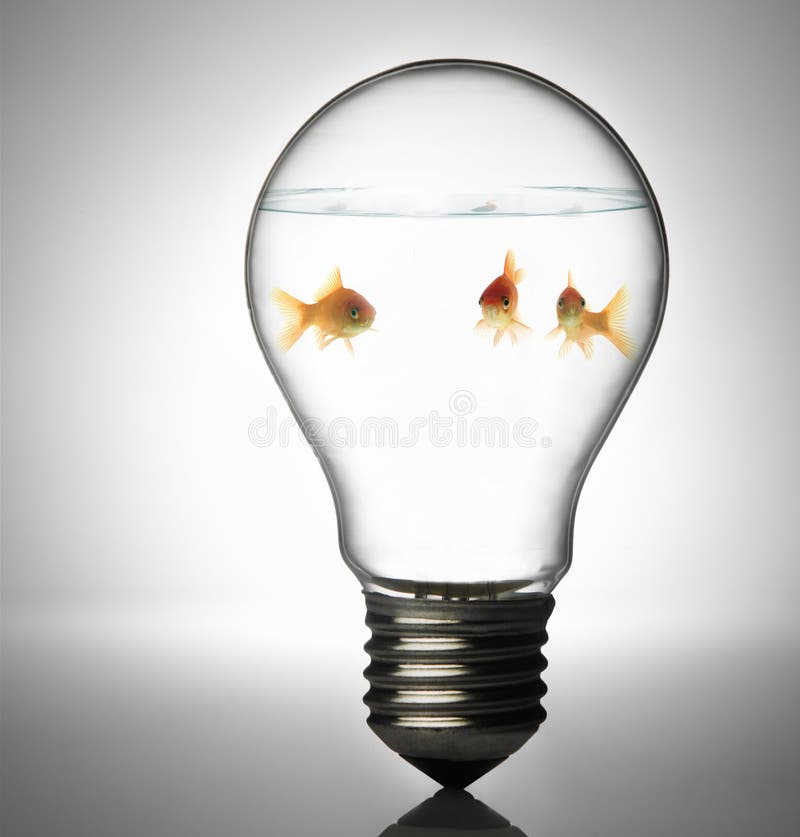 Fish in the bulb