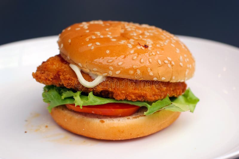 Fish burger on plate stock photos