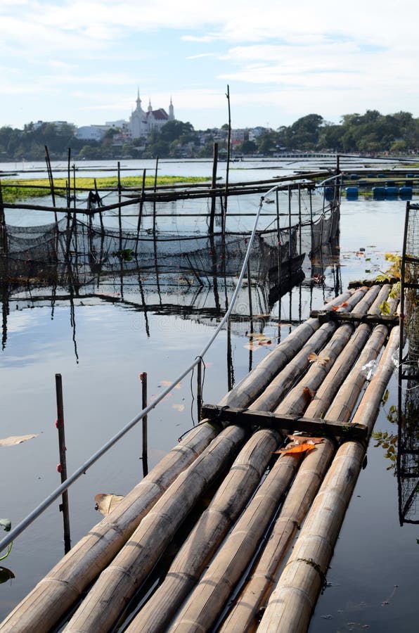 Fish Cage and Bamboo Raft are Common Scenes Environmental Issues that  Destroy Lake Stock Photo - Image of bamboo, derelict: 107612806
