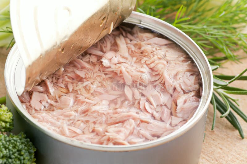 Fish canned stock photo. Image of protein, natural, piece 19092456