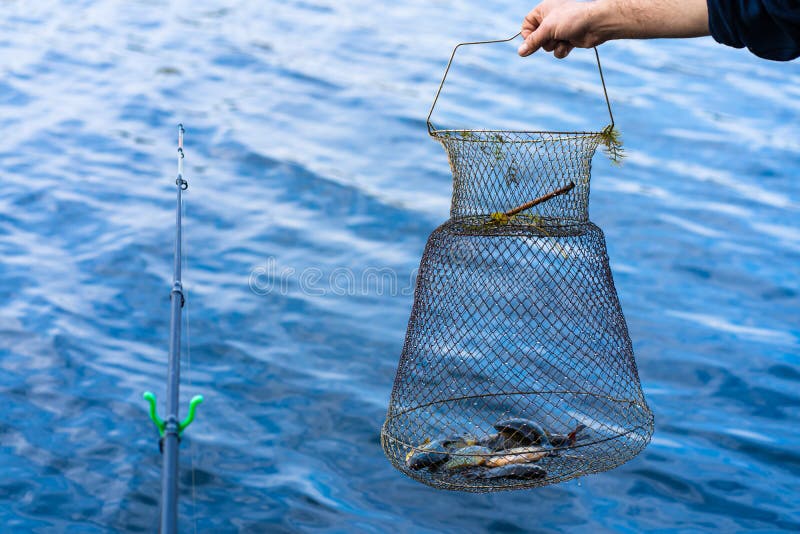 Fish Catch in a Net Box. Fishing Hobby and Leisure Stock Image