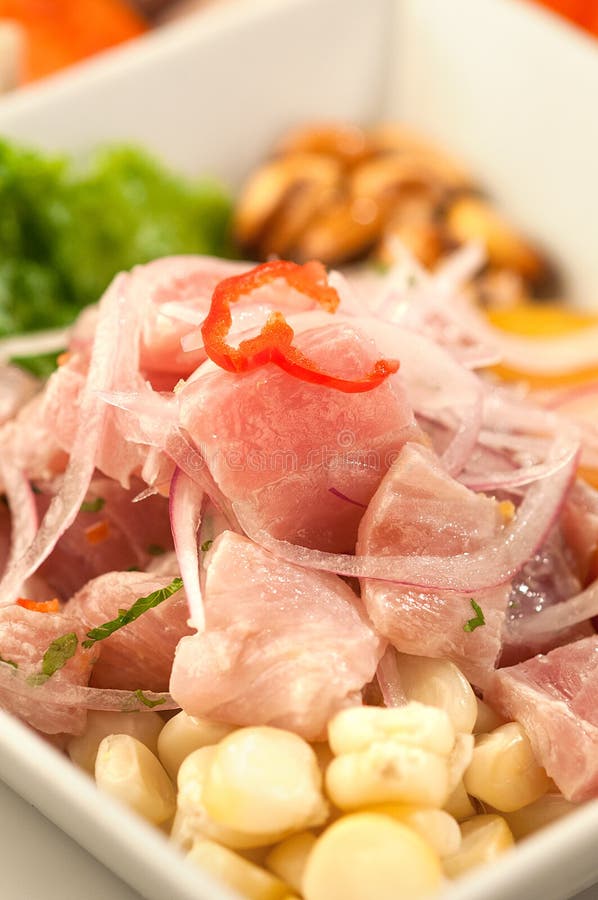 Fish Ceviche, a Typical Peruvian Dish Stock Image Image of mariscos
