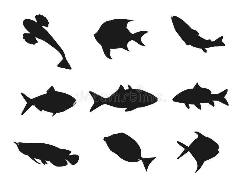 Fish Character Silhouettes Vector Stock Illustration - Illustration of ...