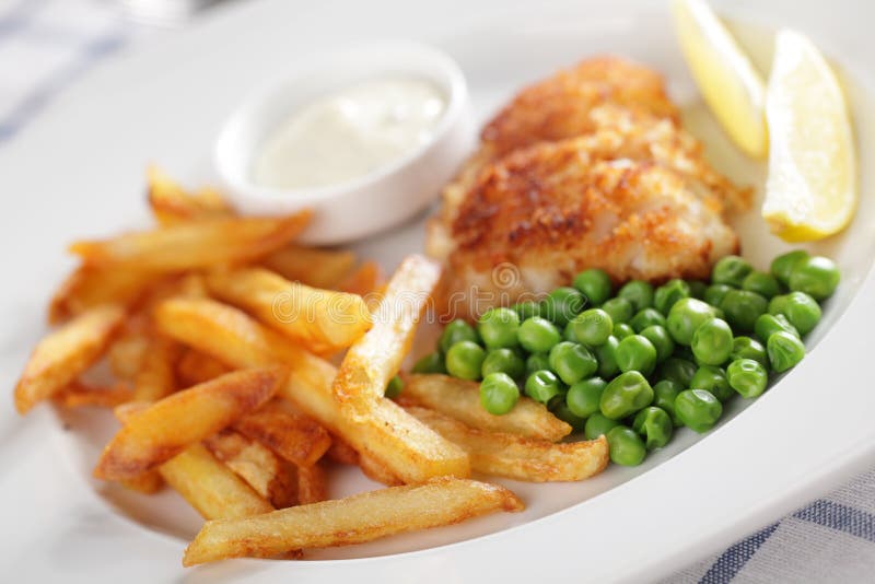 Meat Pie, Chips & Gravy Stock Image Image of baked, beef 13458601