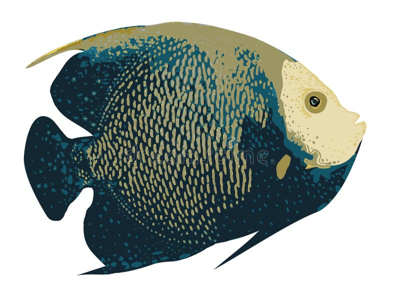 Fish Clip Art. Fish Digital Painted Illustration for Wall Art, Book ...
