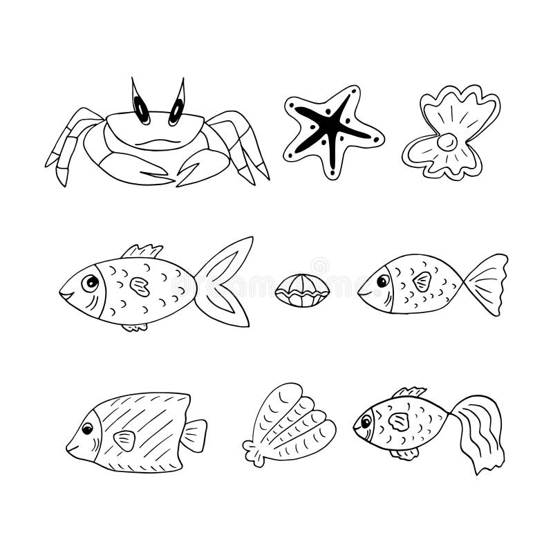 Crab And Shell Isolated On White Background Vector Engraving Stock Vector Illustration Of Colorful Graphic