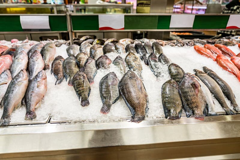 Fish Displayed on Ice at Supermarket Seafood Aisle Stock Photo Image