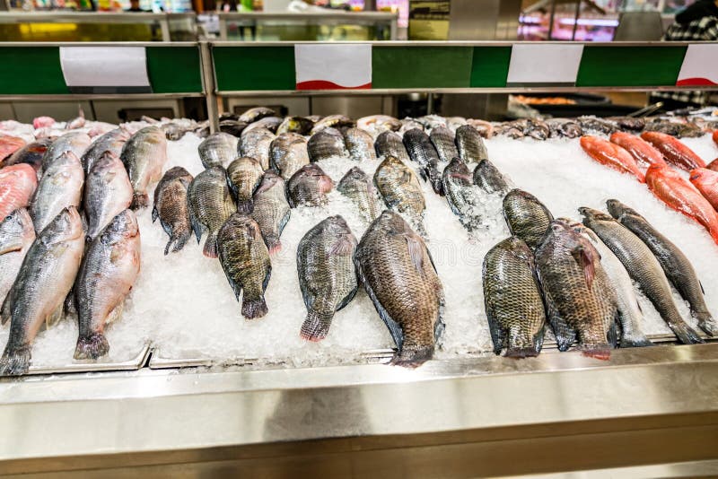 Fish displayed on ice at Supermarket seafood aisle