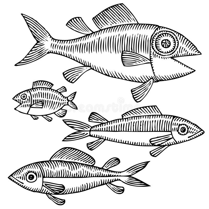 Fish drawing variant vector illustration