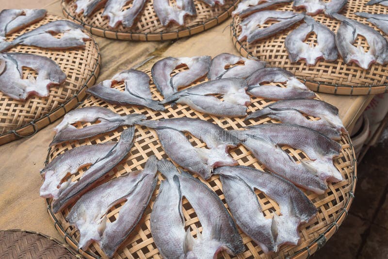 Fish, Dried on. on a Bamboo Basket Stock Image Image of bamboo, dried