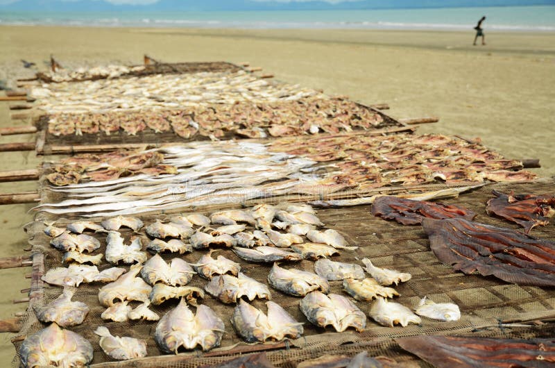 Fish is drying in the sun at the beach