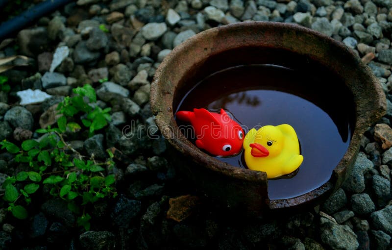 Fish and duck toys stock photo. Image of characters 223665484