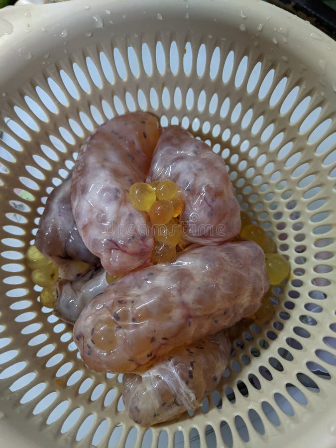Fish Eggs on White Bowl, Top View Stock Photo Image of view, white