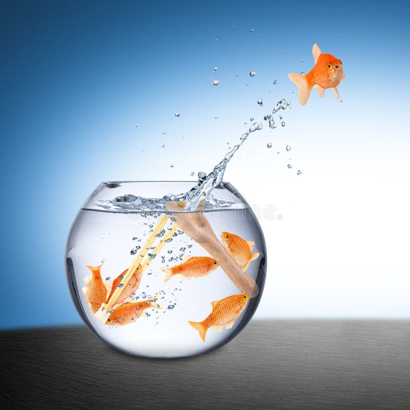 Fish escape concept stock photography Fish escape concept stock photography