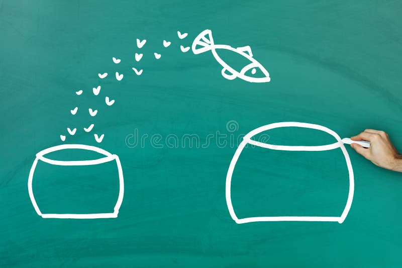 Fish escaping into bigger tank royalty free stock photo Fish escaping into bigger tank royalty free stock photo