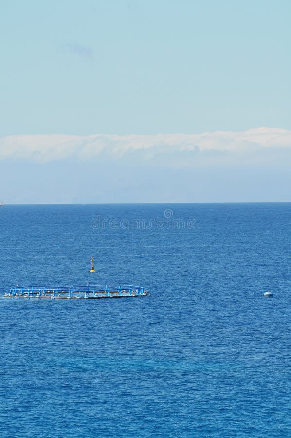 Fish Farm in the Atlantic Ocean Stock Photo Image of fish, fresh
