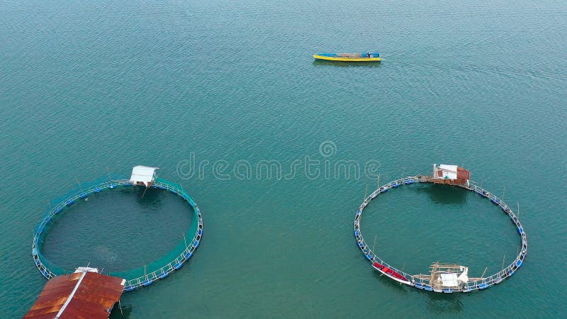 Fish Farm with Cages for Fish and Shrimp, Top View. Fish Cage for
