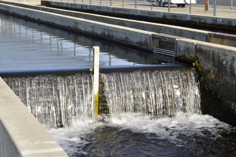 Fish farm in the cool clear water channels. Fish farm in the cool clear water channels.